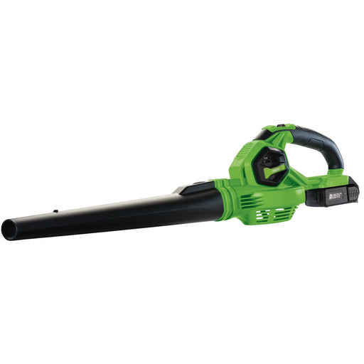 D20 20V Leaf Blower, 1 x 2.0Ah Battery, 1 x Charger - PTKD20G/LBS - image 1