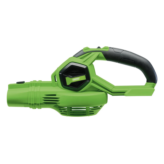 D20 20V Leaf Blower, 1 x 2.0Ah Battery, 1 x Charger - PTKD20G/LBS