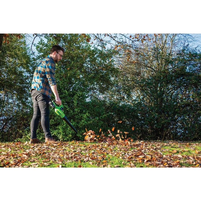 D20 20V Leaf Blower, 1 x 2.0Ah Battery, 1 x Charger - PTKD20G/LBS