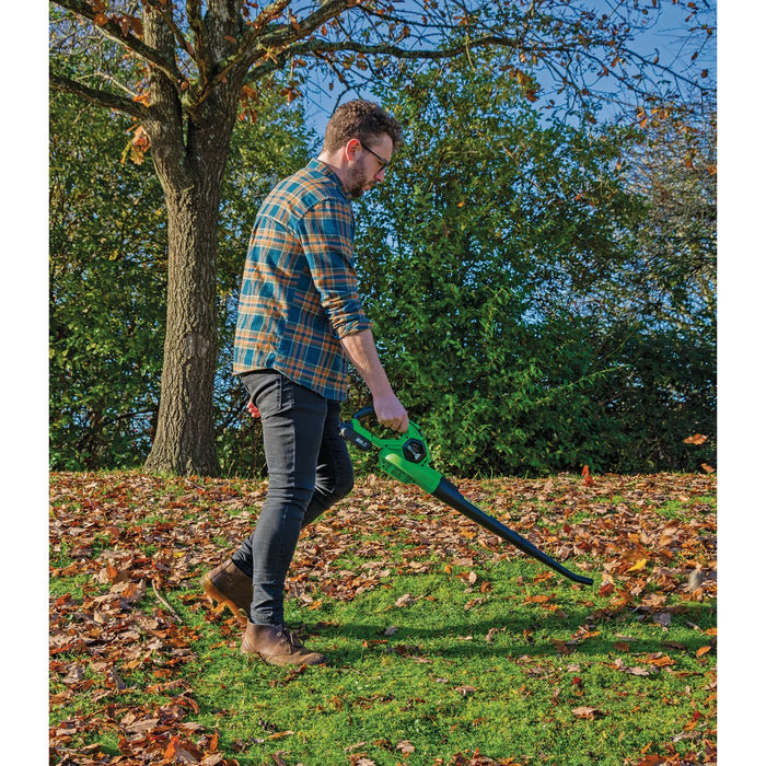 D20 20V Leaf Blower, 1 x 2.0Ah Battery, 1 x Charger - PTKD20G/LBS