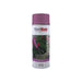 Plastikote Garden Colours Spray Paint Lavender 400ml PlastiKote - Town Tools