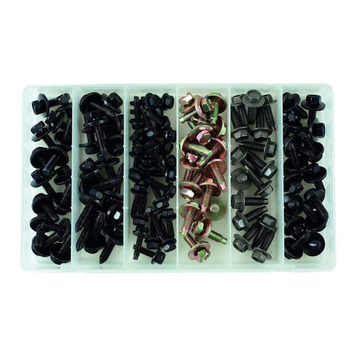 Connect Assorted Metal Body Screw Trim Fasteners 100pc 35993 Tool Connection - Town Tools 