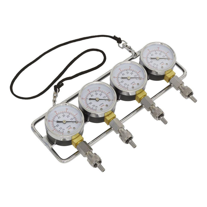 Sealey Carburettor Synchronizer (Vacuum Mini-Type) VS209 Sealey - Town Tools 