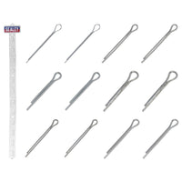 Sealey Clip Strip Deal - Split Pins SPSET