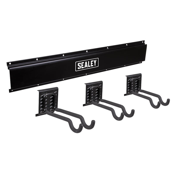 Sealey Wall Mounting Sports Equipment Hook Storage Rail APHKIT11 Sealey - Town Tools 