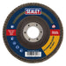 Sealey Flap Disc Aluminium Oxide125mm22mm Bore 60Grit FD12560E Sealey - Town Tools 