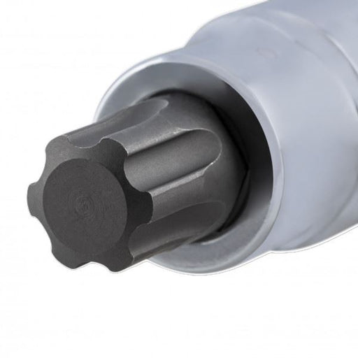 Carlyle Tools 1/2Dr Tp60 Ribe Bit Socket - image 1