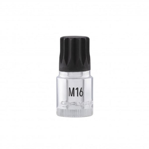 Carlyle Tools 3/8Dr M16 Multispline Bit 48mm Long - image 1