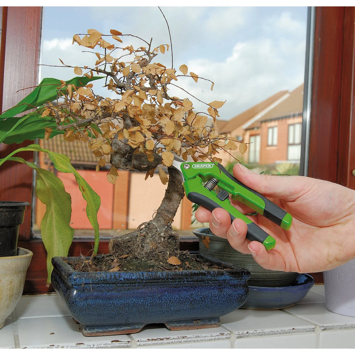 Draper Precision Straight Pruning Secateurs, 165mm - G812