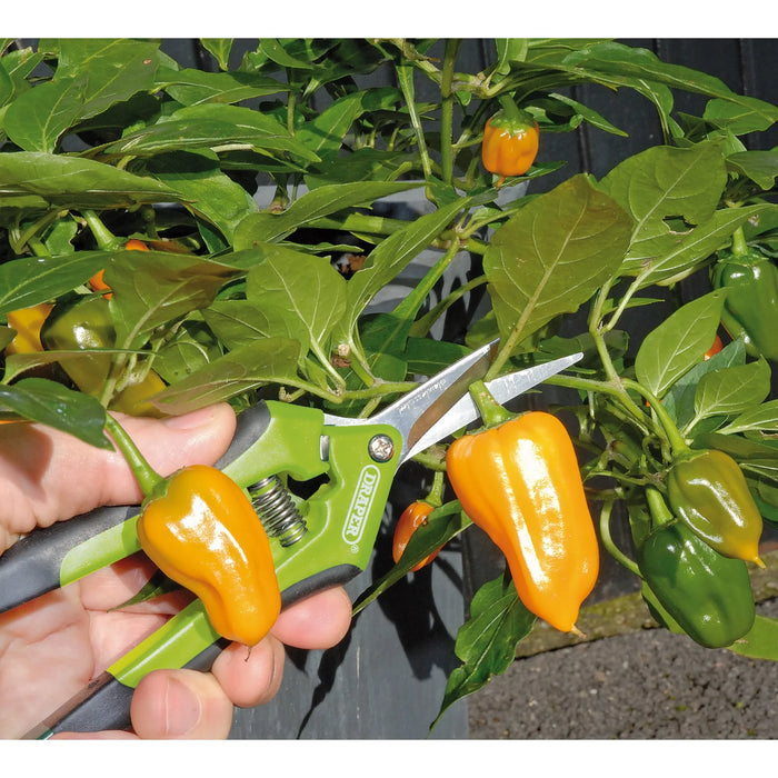 Draper Precision Curved Pruning Secateurs, 165mm - G813