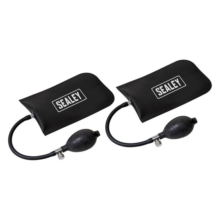 Sealey Panel Bag Set 2pc VS9111 Sealey - Town Tools 