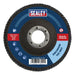 Sealey Flap Disc Zirconium125mm22mm Bore 120Grit FD125120 Sealey - Town Tools 