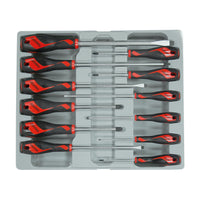 Teng Tools Screwdriver Set Mixed 12 Pieces