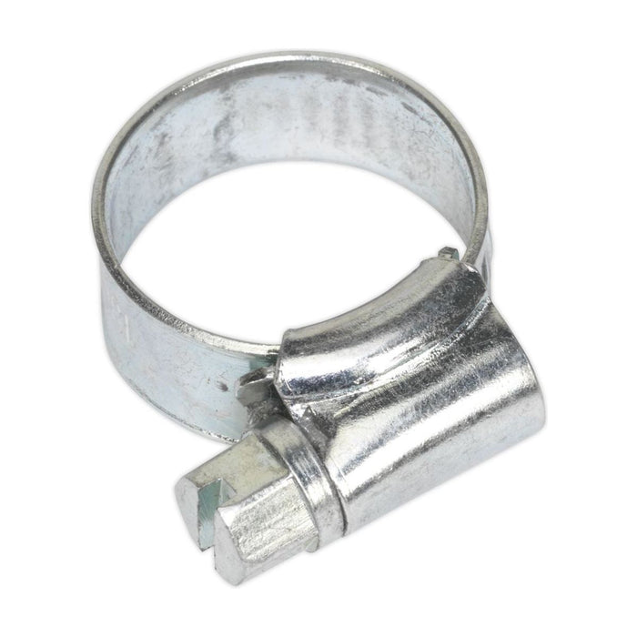 Sealey Hose Clip Zinc Plated10-16mm Pack of 30 SHCM00 Sealey - Town Tools 