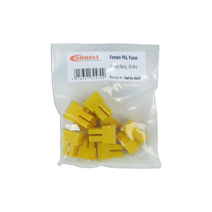 Connect Female PAL Fuses 60A 10pc 30479 Tool Connection - Town Tools 