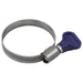 Faithfull 2A W/S 50 Wing Screw Hose Clip 32 - 50mm Faithfull - Town Tools