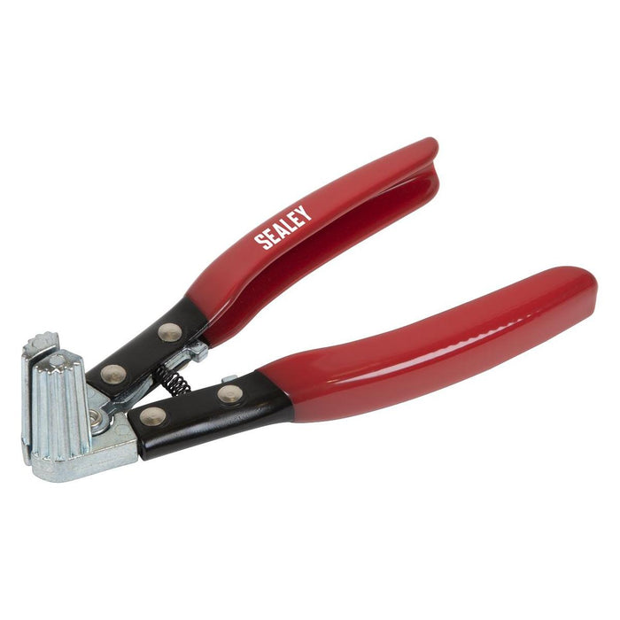 Sealey Terminal Spreader & Cleaner Tool Battery AK423 Sealey - Town Tools 
