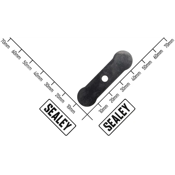 Sealey Valve Reed