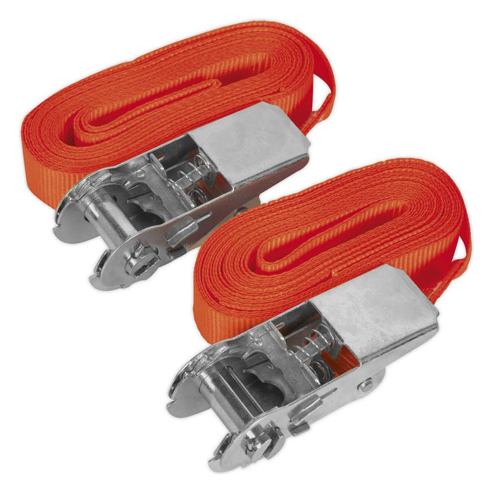 Sealey Self-Securing Ratchet Tie Down 25mm x 4.5m 500kg Breaking Strength Pair Sealey - Town Tools 