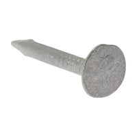Forgefix Clout Nail Extra Large Head Galvanised 30mm (500g Bag)