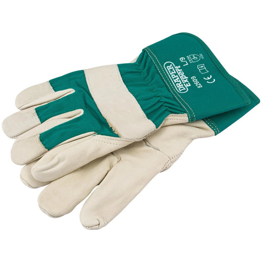 Draper Expert Premium Leather Gardening Gloves, Large - PGRGL/B