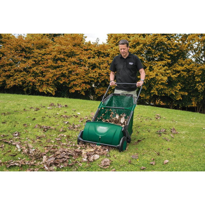 Draper Garden Sweeper, 21" - LS