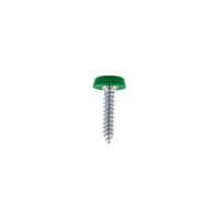 Connect Number Plate Screw Green No 10 x 1 100pc 31557