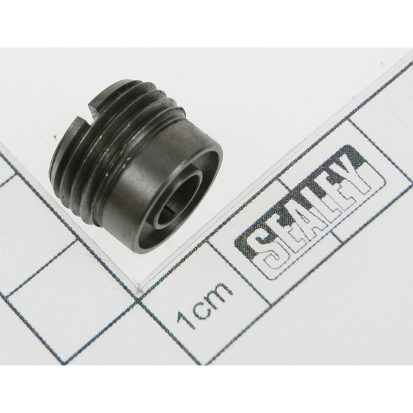 Sealey Bolt check valve