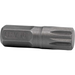 Sealey Spline Bit M10 (8mm Shank)