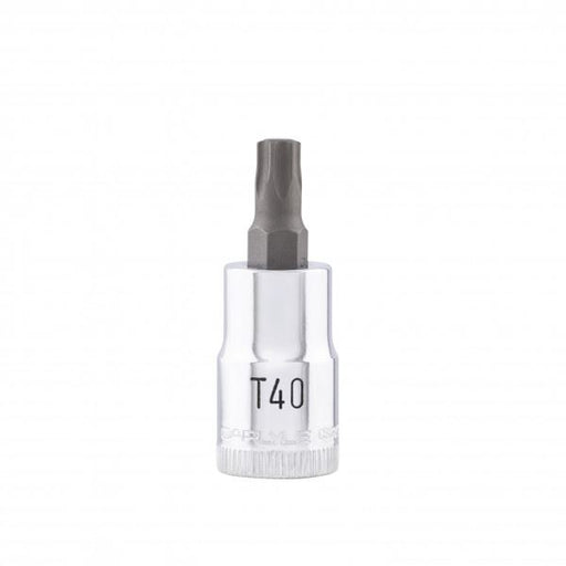 Carlyle Tools 3/8Dr Torx T40 Bit Socket - image 1