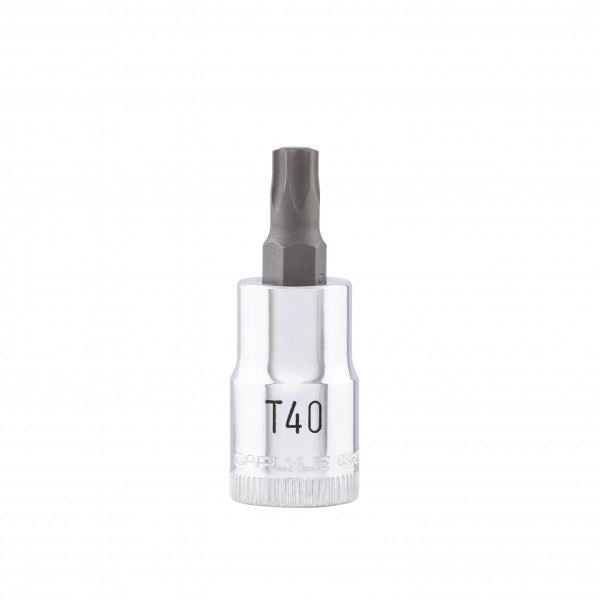 Carlyle Tools 3/8Dr Torx T40 Bit Socket