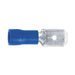 Sealey Clip Strip Deal - Mixed Terminals MTSET Sealey - Town Tools 