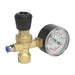 Sealey MIG Gas Regulator Disposable Cylinder 1-Gauge REG/mmG Sealey - Town Tools 