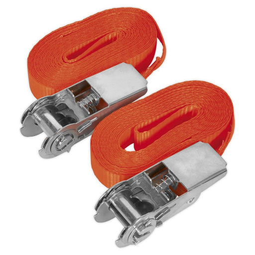 Sealey Self-Securing Ratchet Tie Down 25mm x 4.5m 800kg Breaking Strength Pair Sealey - Town Tools 