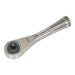 Sealey Bit Driver Ratchet Micro 1/4"Hex Stainless Steel AK6962 Sealey - Town Tools 