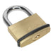 Sealey Brass Body Padlock 60mm PL203 Sealey - Town Tools 