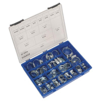 Sealey HI-GRIPï Hose Clip Assortment 81pc Sizes9.5-55mm HCJ85AC