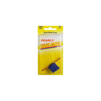 Wot-Nots Fuse - Screw Fit Slow Blow - 100A