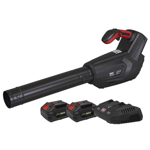 Sealey Cordless Blower Kit 40V 4Ah SV20 Series CP40VBKIT Sealey - Town Tools 