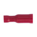 Sealey Clip Strip Deal - Red Terminals RTSET Sealey - Town Tools 