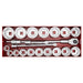 Sealey Premier Premier Socket Set 1"Sq Drive 22pc AK261 Sealey Premier - Town Tools 