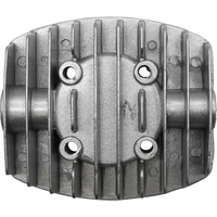 Sealey Cylinder Head SAC10030VA-P04