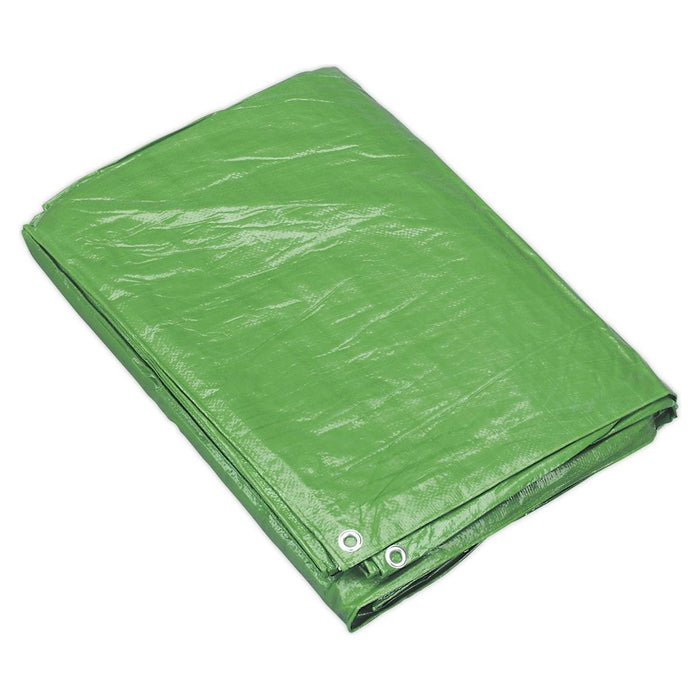 Sealey Tarpaulin 5.49 x 7.32m Green TARP1824G Sealey - Town Tools 