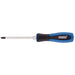 Draper Pound Thru' PZ Type Screwdriver, No.2 x 100mm 40806 Draper - Town Tools 