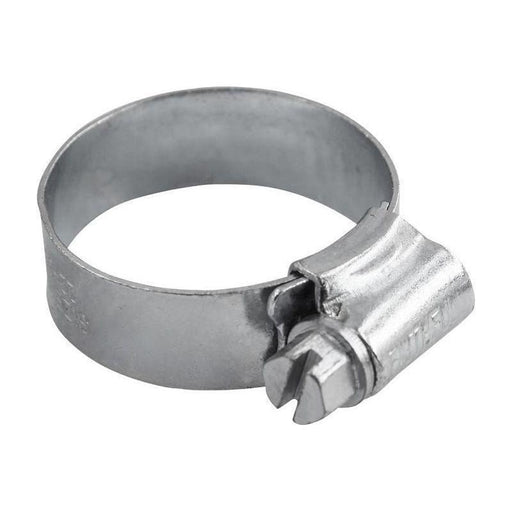 Faithfull 1A Stainless Steel Hose Clip 22 - 30mm Faithfull - Town Tools