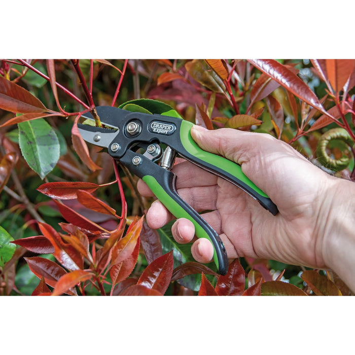 Draper Expert Anvil Pattern Secateurs, 200mm - GASE2