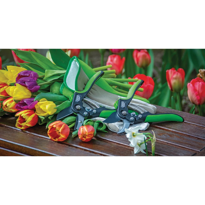 Draper Expert Anvil Pattern Secateurs, 200mm - GASE2