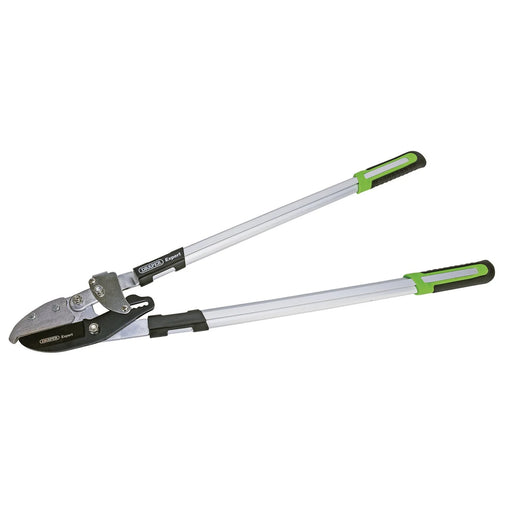 Draper Expert Ratchet Action Anvil Pattern Loppers, 750mm - GALS/E