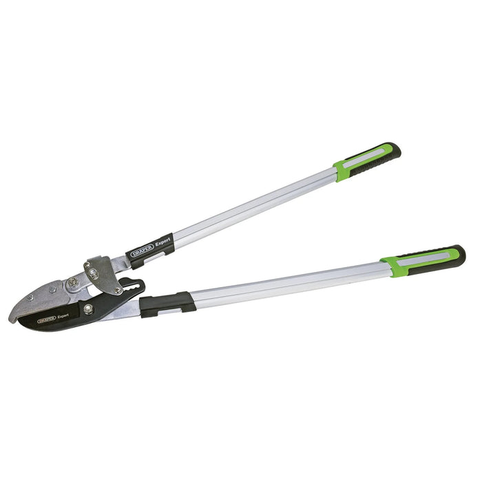 Draper Expert Ratchet Action Anvil Pattern Loppers, 750mm - GALS/E