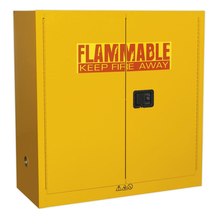 Sealey Flammables Storage Cabinet 1095 x 460 x 1120mm FSC09 Sealey - Town Tools 